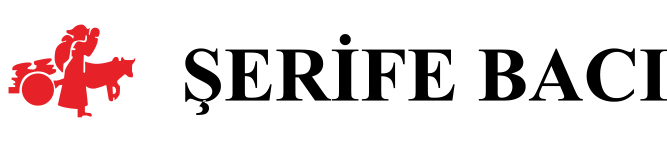 partner-image